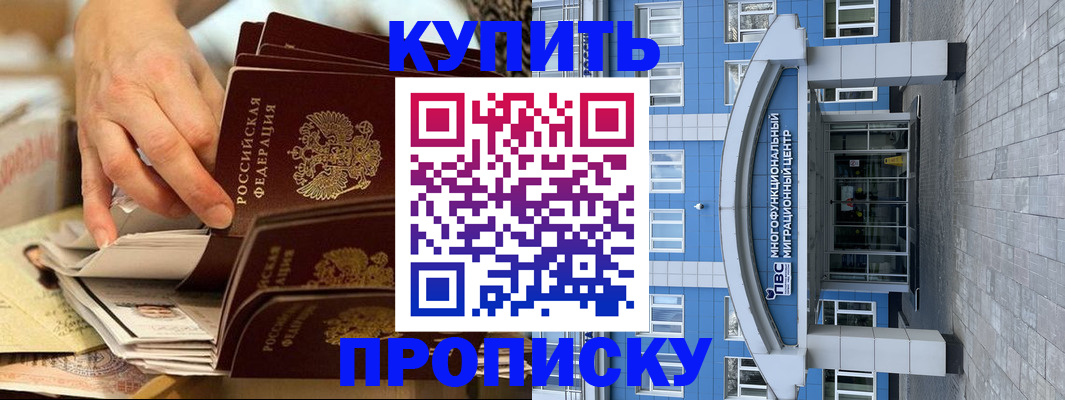 прописка гарантия в Ковдоре